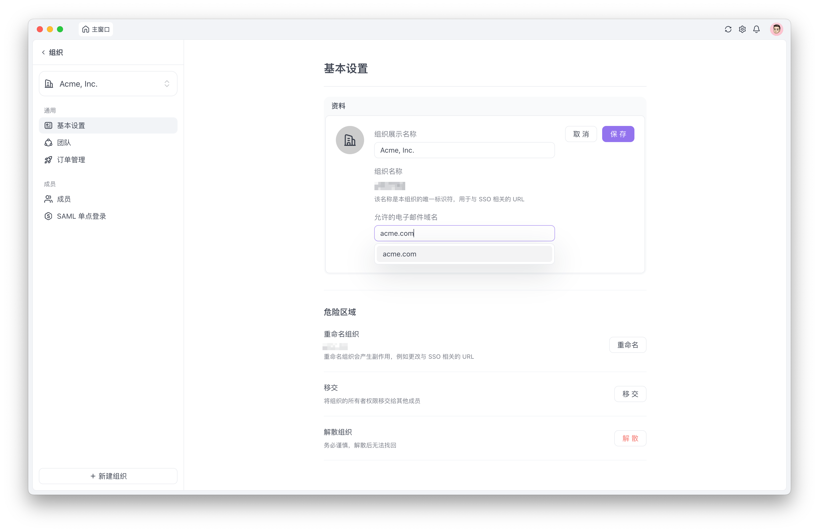 Apifox SSO 配置允许的电子邮件域名